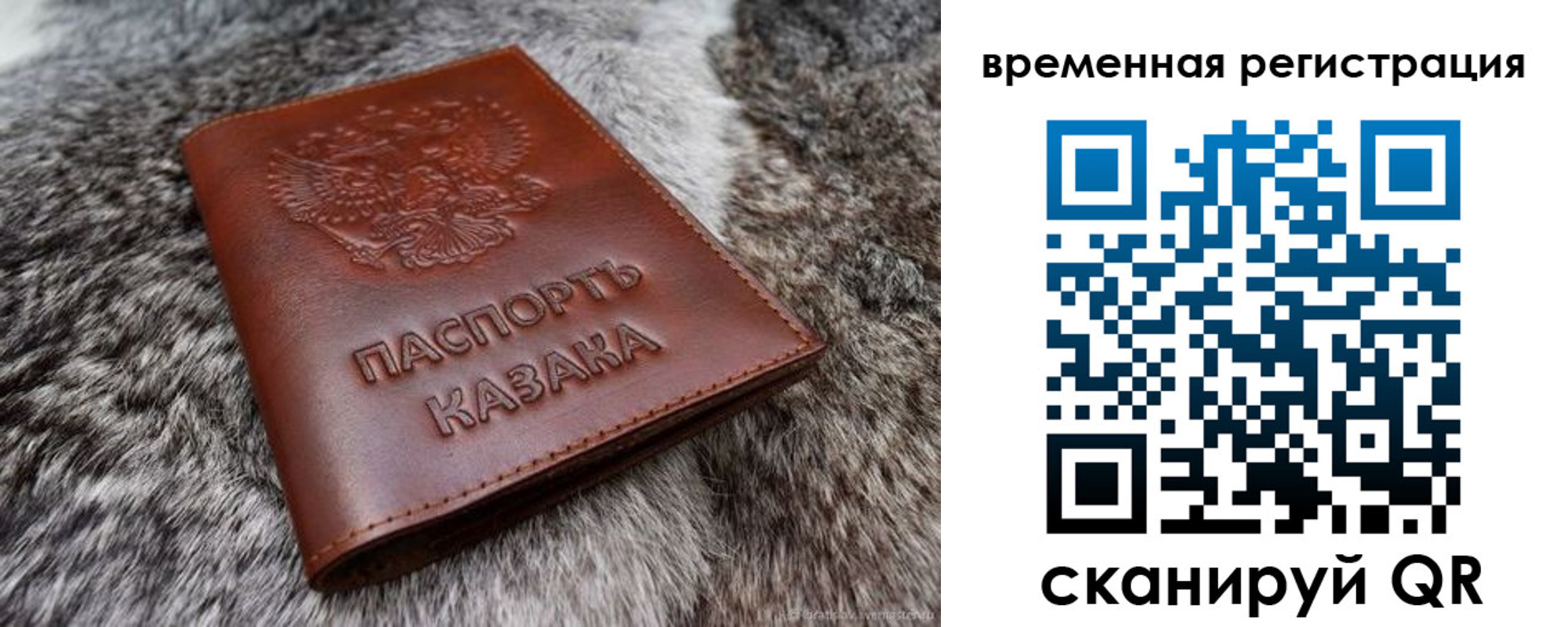 прописка 2025 в Звенигово