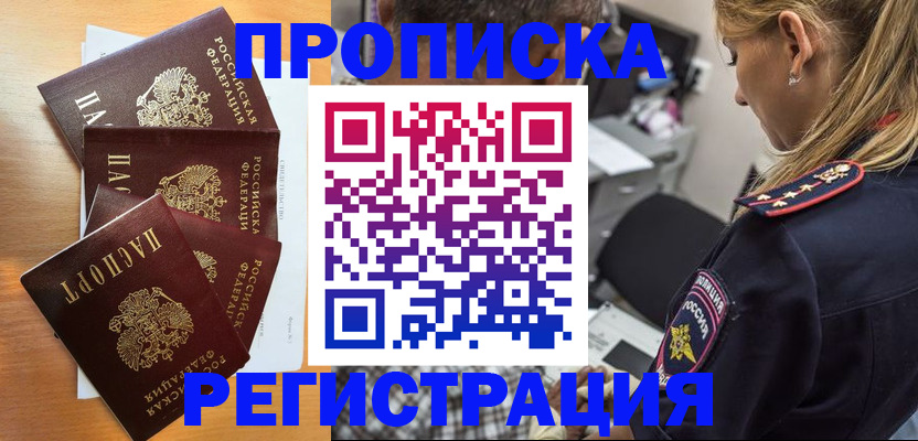 прописка штамп в Звенигово